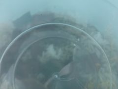 -福巷湘食小馆·猛火现炒(上海首店)