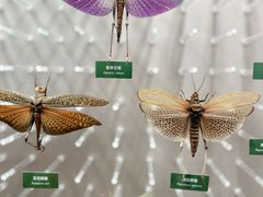 -国家自然博物馆