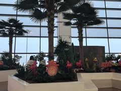 -郑州新郑国际机场-T2航站楼