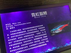 -福州罗源湾海洋世界旅游区