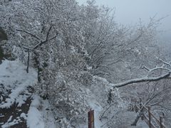 -华山风景名胜区