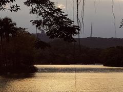 -惠州西湖丰渚园