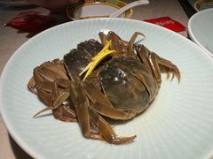-老人和饭店(淮海中路店)