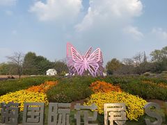 -上海植物园-4号门售票处