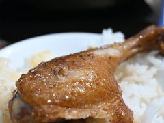 -百家春好德来姜母鸭