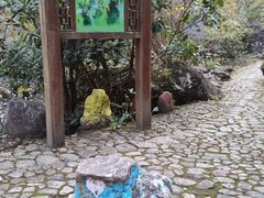 -龙湾潭国家森林公园