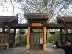 -溱湖国家湿地公园