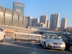 -奥体中心游泳馆