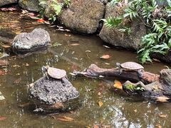 -海南热带野生动植物园