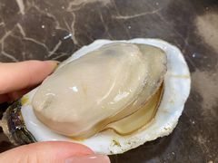 -蚝专家(北滘店)