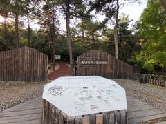 -北京西山国家森林公园