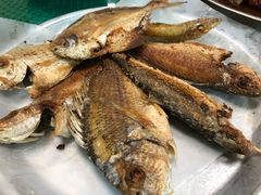 -农汤老店(顺联公园里店)