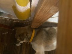 -春风十里咖啡馆