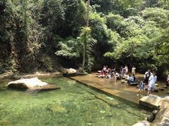 iphone_upload_pic-鼎湖山风景区