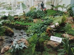 -罗红摄影艺术馆