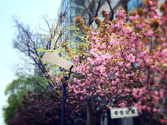 -上海第二工业大学(金海路校区)