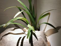 -会仙楼(金融街店)