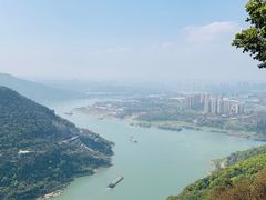 -铁山坪森林公园