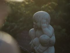 -武陵山森林公园