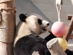 -石家庄市动物园