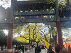 -北京国子监胡同