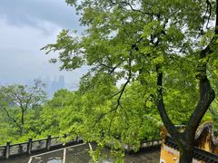 -涂山寺素食餐厅