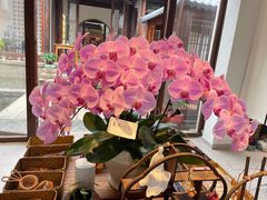 -秦园惠山豆腐花(惠山古镇店)
