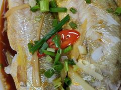 清蒸黄花鱼-蛇口康乐快餐鱼仔档(翠苑小区店)