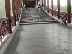 -长广溪湿地公园