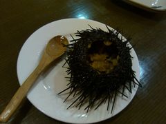 生海胆-红叶日料·放题·海胆·定食(星海店)