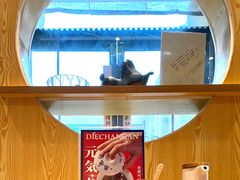 -北往西·西安油泼面(万德庄店)