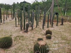 -东莞植物园