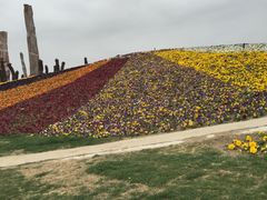 -南通洲际绿博园