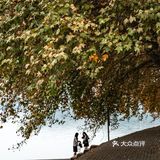东湖日记（东湖南路）| 2021.11.01 | 多云