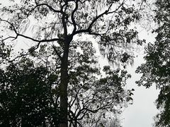 -黔灵山公园