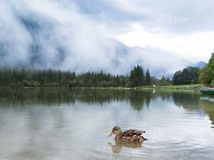 -柯尼希湖