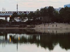 -美兰湖景区