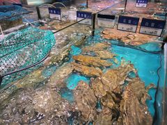 -拉完海鲜大排档(温岭店)