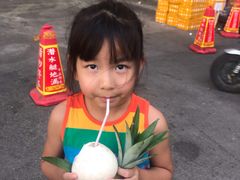 -三亚新鸿港水果一级批发市场