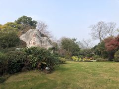 -桃花岛景观公园