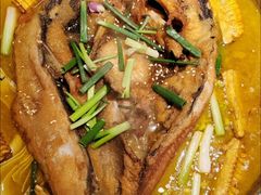 -肥家大排档(天河体育西店)