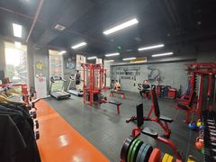 -极斗-IKMF马伽术·格斗运动学院(东直门店)