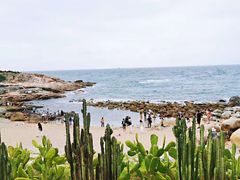 -广东惠东海龟国家级自然保护区