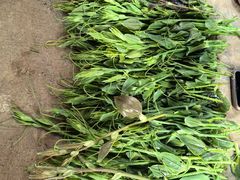 -郴州特产舜华临武鸭(郴州西站店)