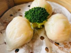 -南海渔村(珠江新城店)