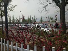 -大益膳房(华腾科技大厦店)