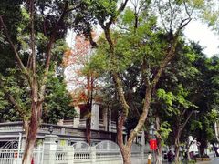 -星巴克臻选(广州沙面店)