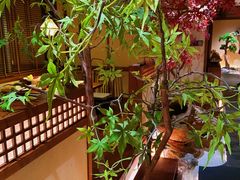 -揽季锅物会.福建黄鱼.海鲜姿造(五四路店)