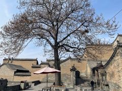-王家大院