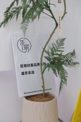 -臣丽纹眉品牌连锁